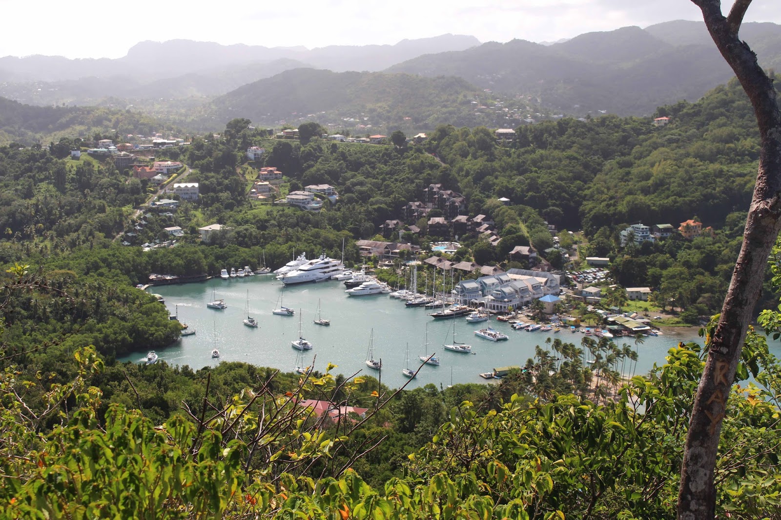 Dunworkin St Lucia to Martinique