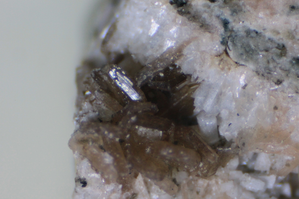 Practical Microscopy Granites from Vulcan Material Company Kennesaw Granite Quarry