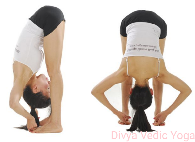 Hasta padangushthasana हस्त पादांगुष्टासना 10 Best Yoga Asanas - Mudra, Fitness Experts Say These 10 Yoga Poses Everyday In The Morning