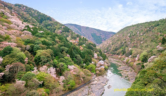  Most Beautiful Sakura Flower View Places inwards Nippon xx Most Beautiful Sakura Flower View Places inwards Japan