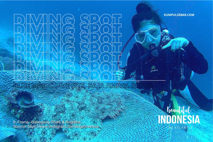 diving spot in indonesia