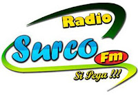 Radio surco fm