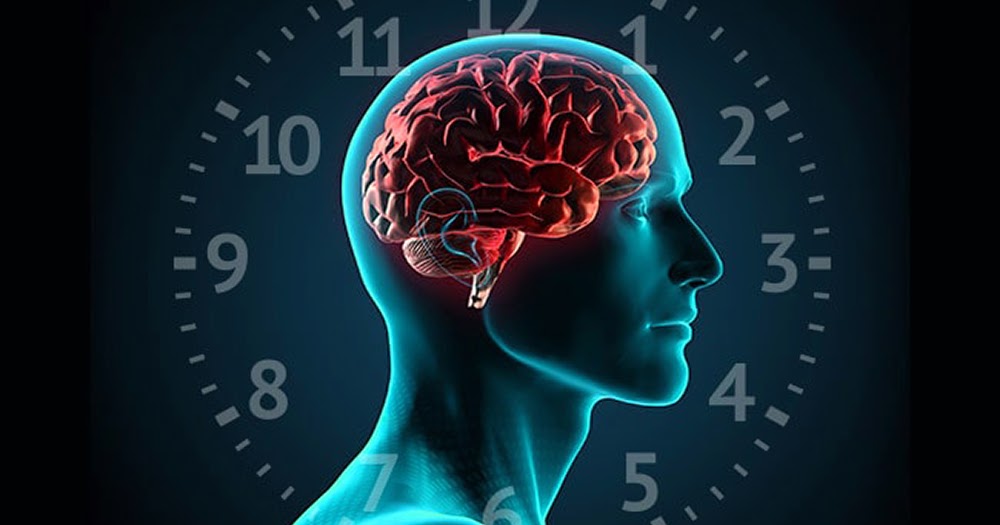 TRAIN OUT PAIN Circadian Rhythm of Life and How to Enhance It