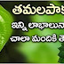 Health Benefits Of Betel Leaf(Tamalapaku)