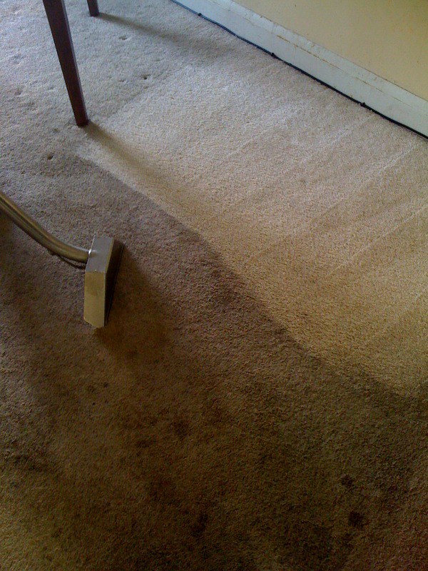 St. Patrick's Episcopal Church (Washington, D.C.) Carpet Cleaning Ellicott City Md City
