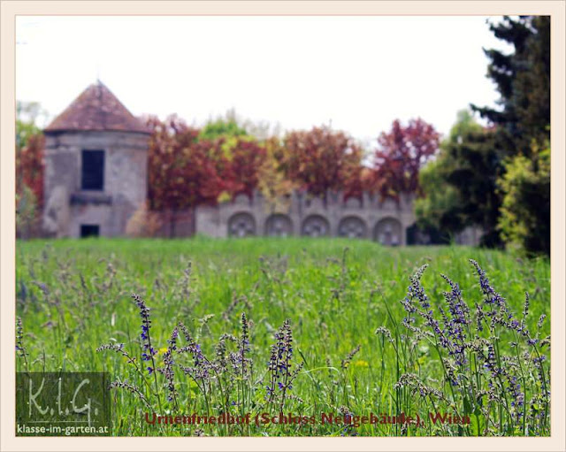 Klasse Im Garten Page 7 Chan 9849358 Rssing Com