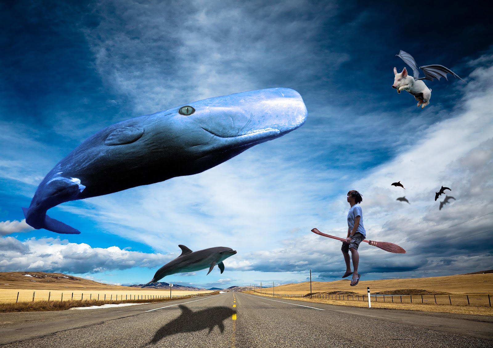 Tan Yew Chye: Final Surrealistic ^^ (digital Imaging )