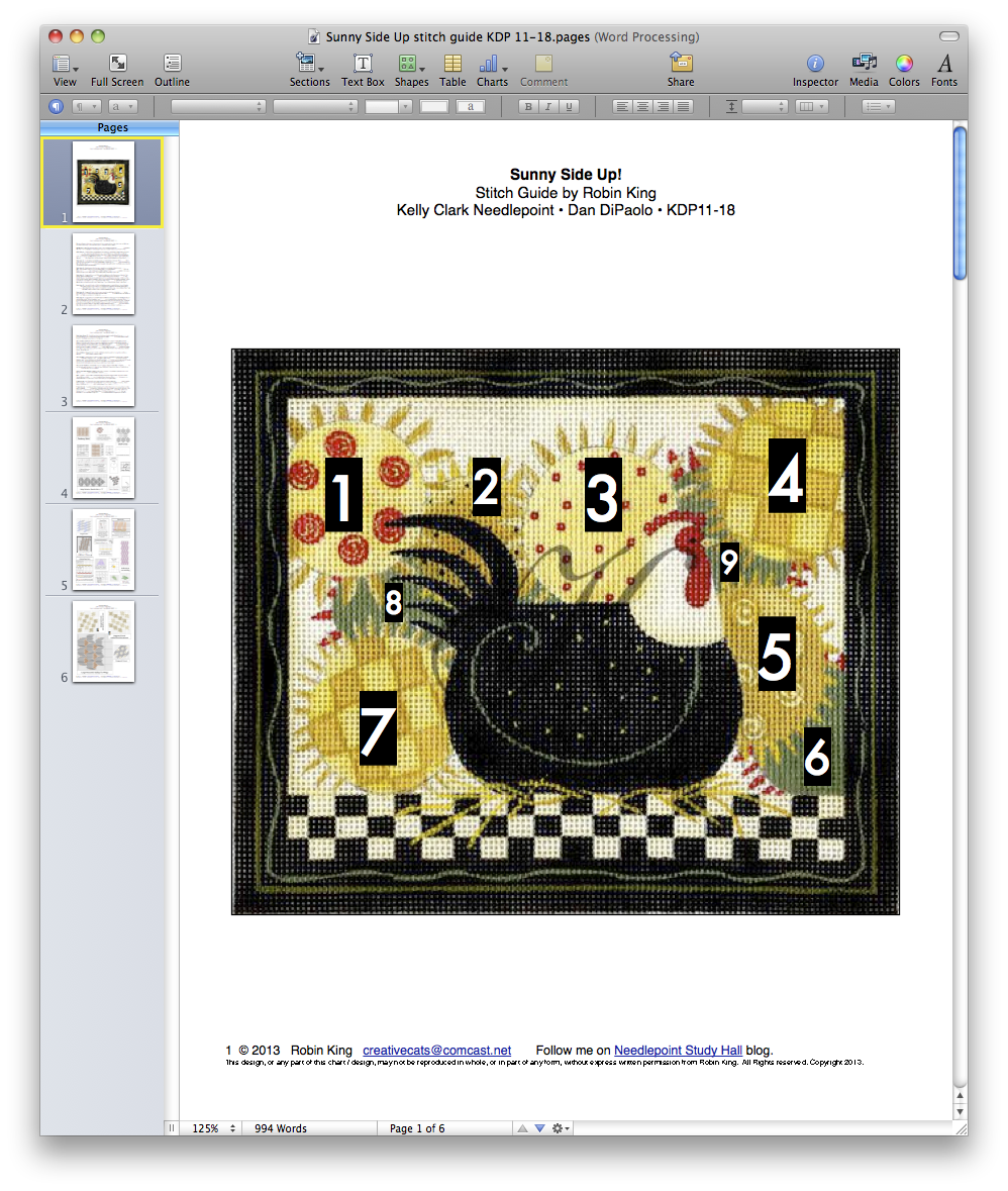 Needlepoint Study Hall Robin is teaching at Peacock Alley Needlepoint