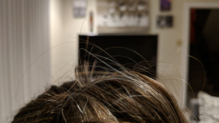image of the top of the back of my head, as I sit in my living room