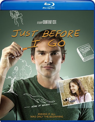 Just Before I Go 2014 720p BRRip 700mb AC3 5.1