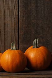 thanksgiving iphone wallpapers hd 4s november ppt fall powerpoint phone autumn screen cell cellphone nature source