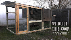 Miss Adventurenaut: Building Our Chicken Coop