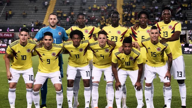 Camino a la Copa América Brasil 2019: ¿Cuál sería la titular de Colombia para el amistoso ante Venezuela?