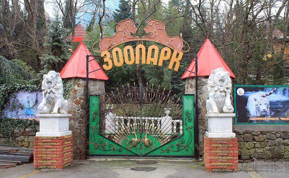 Как выглядит вход в зоопарк Как выглядит вход в зоопарк