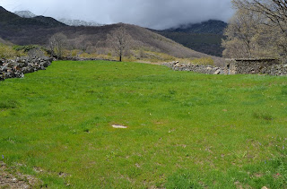 Tornavacas prado de montaña