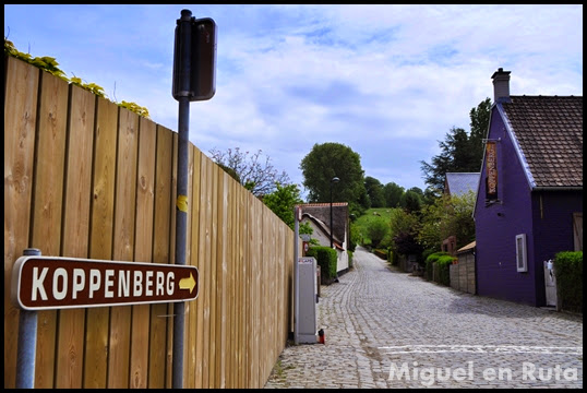 Koppenberg-Ardenas-Flamencas