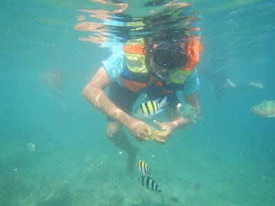 berenang dan lihat ikan pulau tidung