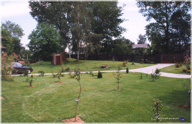 My garden before and after 20 years