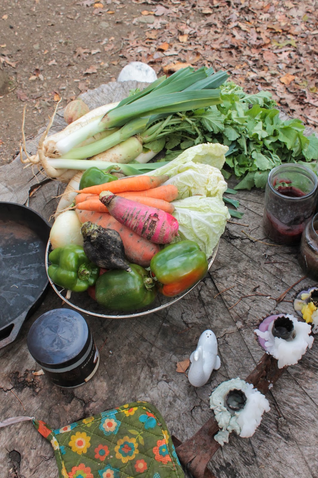 Healthy Hippie Reviews Breads From Anna