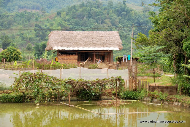 Visite du village Tay à Lao Cai - Photo An Bui