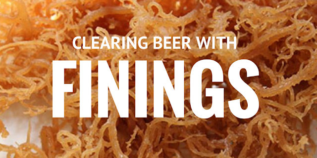 using finings to clear home brew clearing beer with finings