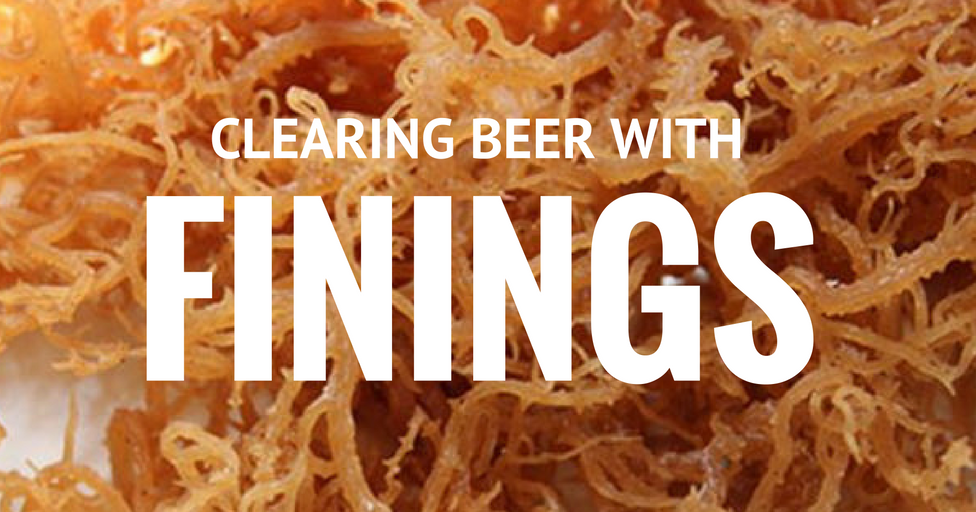 ⇒ Using 'finings' to clear homebrew beer How to Home Brew Beer