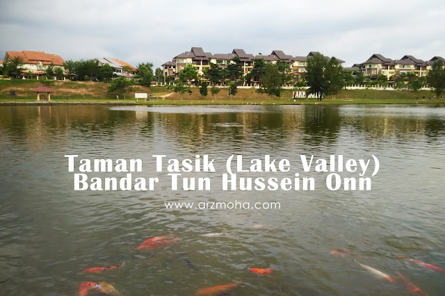 lake valley (taman tasik) bandar tun hussein onn, tempat aktiviti riadah menarik di selangor, tempat jogging di waktu pagi dan petang di selangor, beri kan makan di BTHO