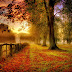Nature Wallpaper in Hd high resolution