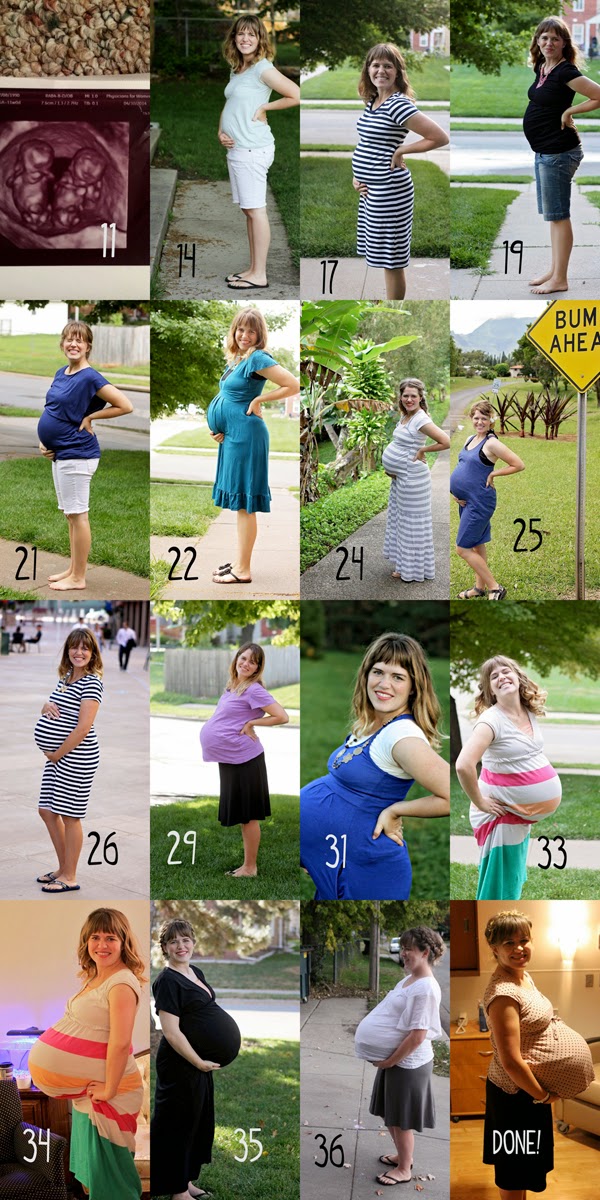 Pregnant With Twins Belly Progression Edit Telegraph