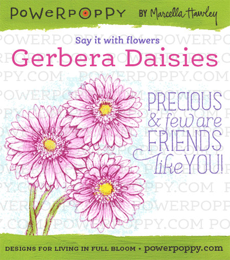 http://powerpoppy.com/products/gerbera-daisies/