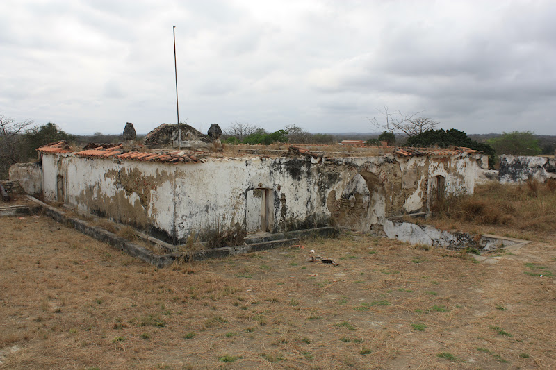 the leopard with a jacket: Angola, Massangano