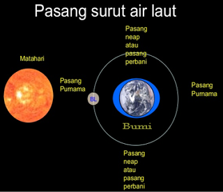 Frida Aceda Penyebab Pasang Surut Air Laut