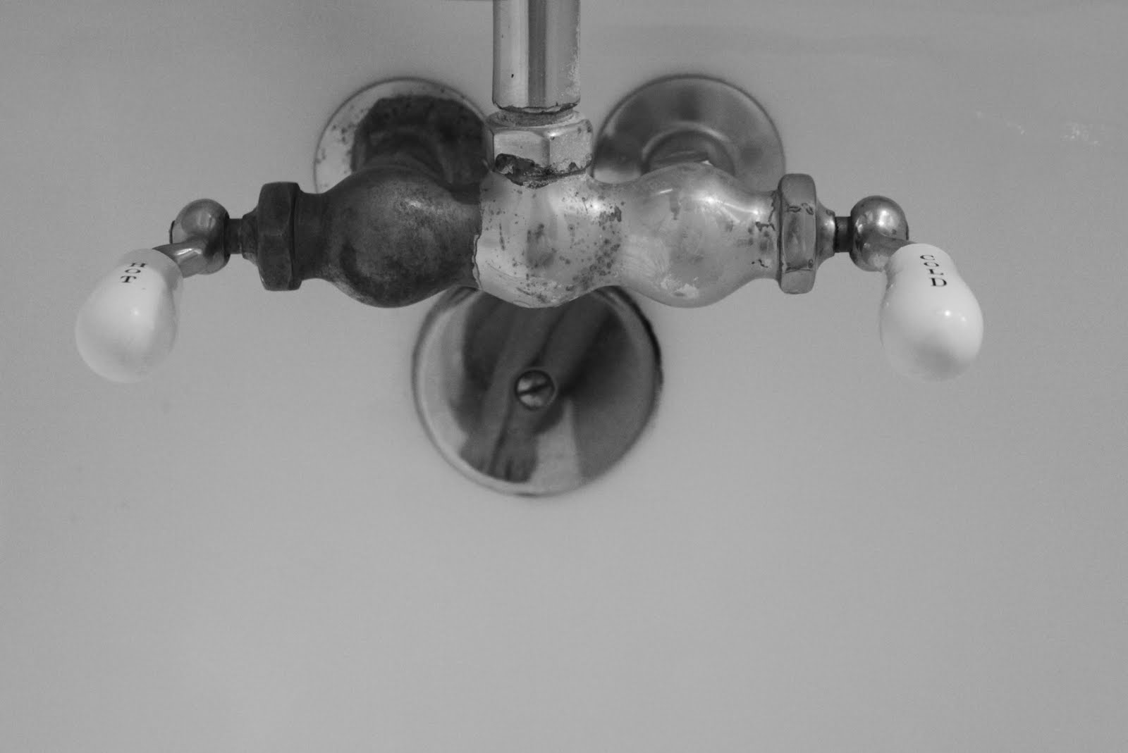 Flora Isadora: Camera Obscura: The antique claw foot tub