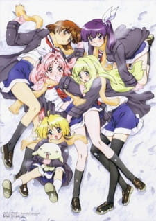 Girls Bravo: First Season Girls Bravo: First Season