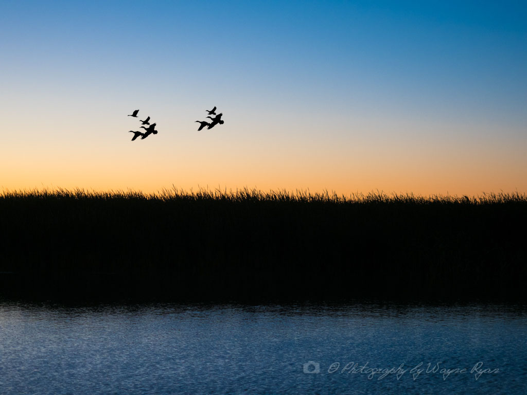Wayne Ryan's blog Kayak Fishing Kow Swamp Victoria