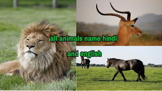  animals name in hindi and english