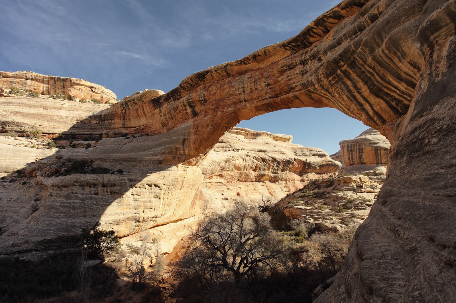 NATURAL BRIDGES NATIONAL MONUMENT ADAM HAYDOCK