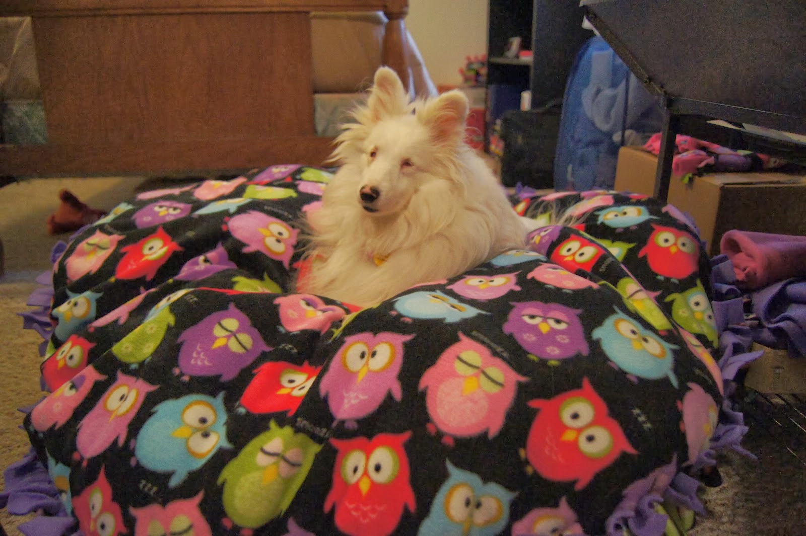 White Dog Blog Dog Blankets and Beds