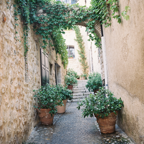 stunning photography of Jose Villa in Provence, France