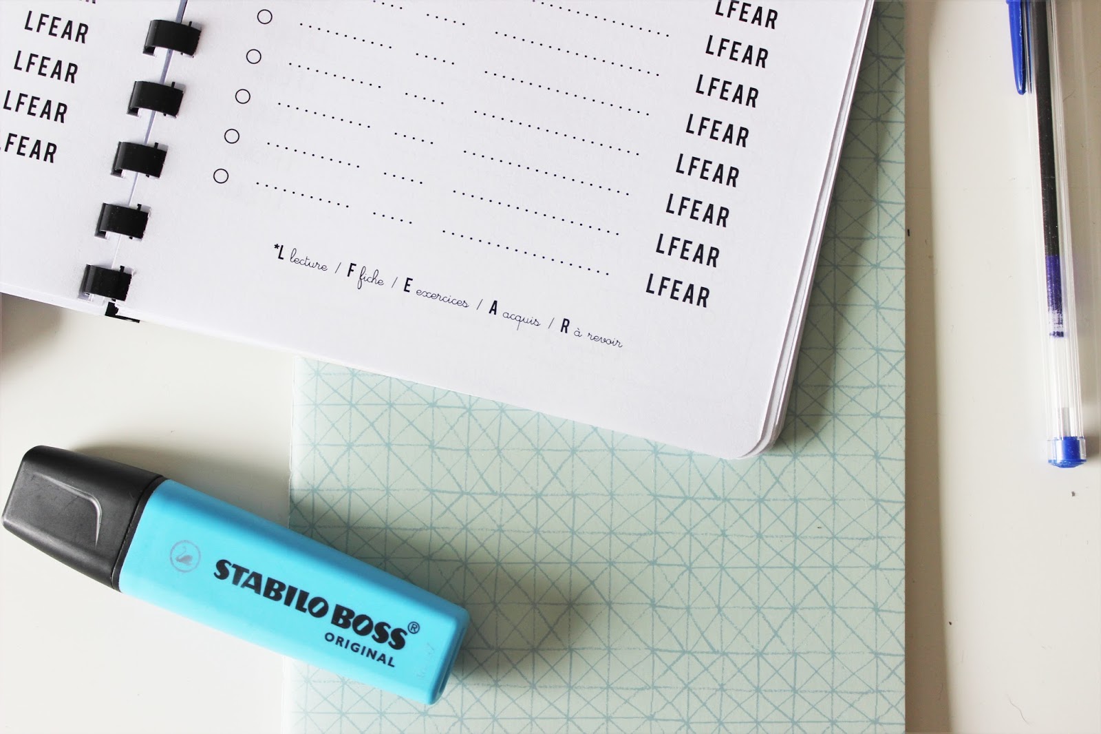 Le journal de préparation au CRPE 2018 [Printable] | Mais tu fais quoi