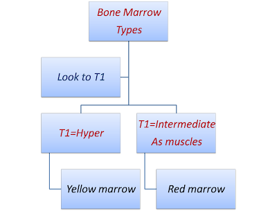 Radiology Pearls: MRI and Bone marrow