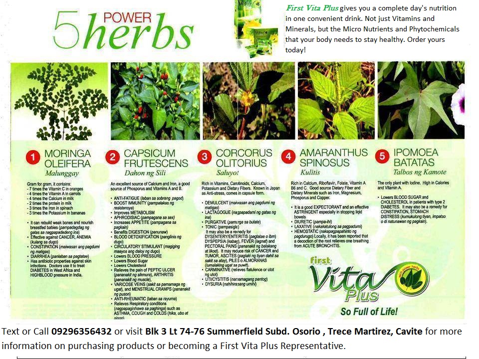 First Vita Plus English All Organic Power Herbs