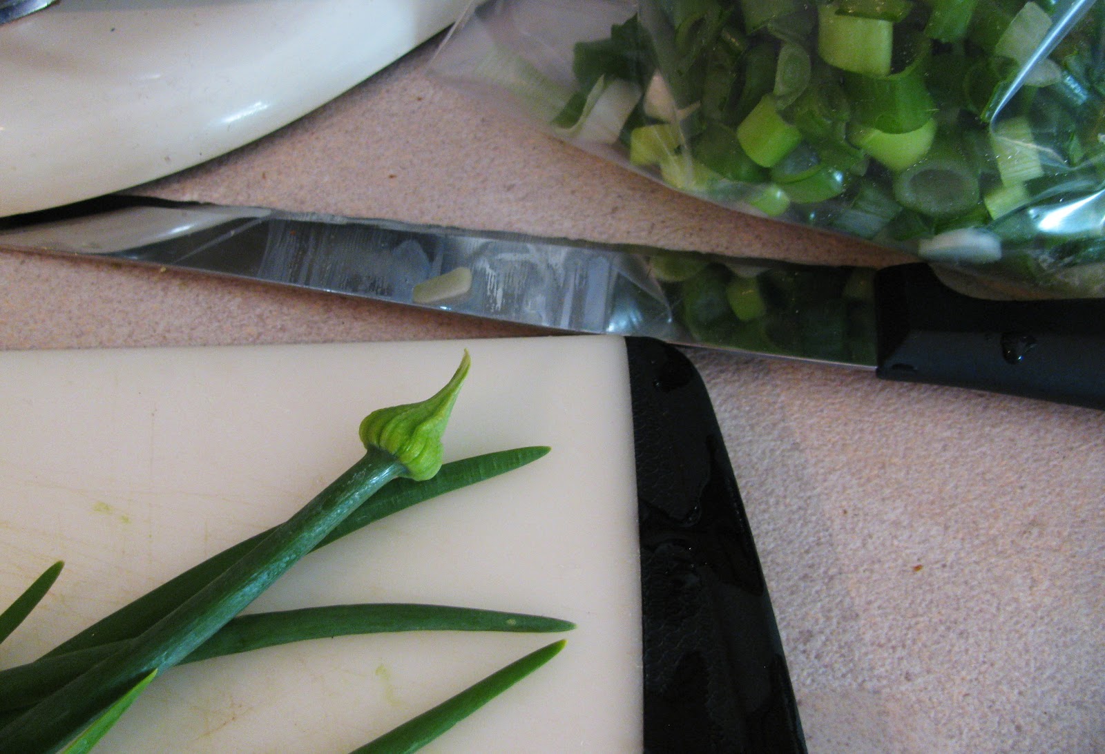 Eating Onion Flower Buds & Overgrown Scallions & a Lentil Soup Recipe