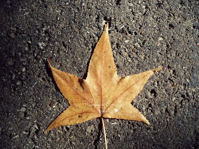 Leaf