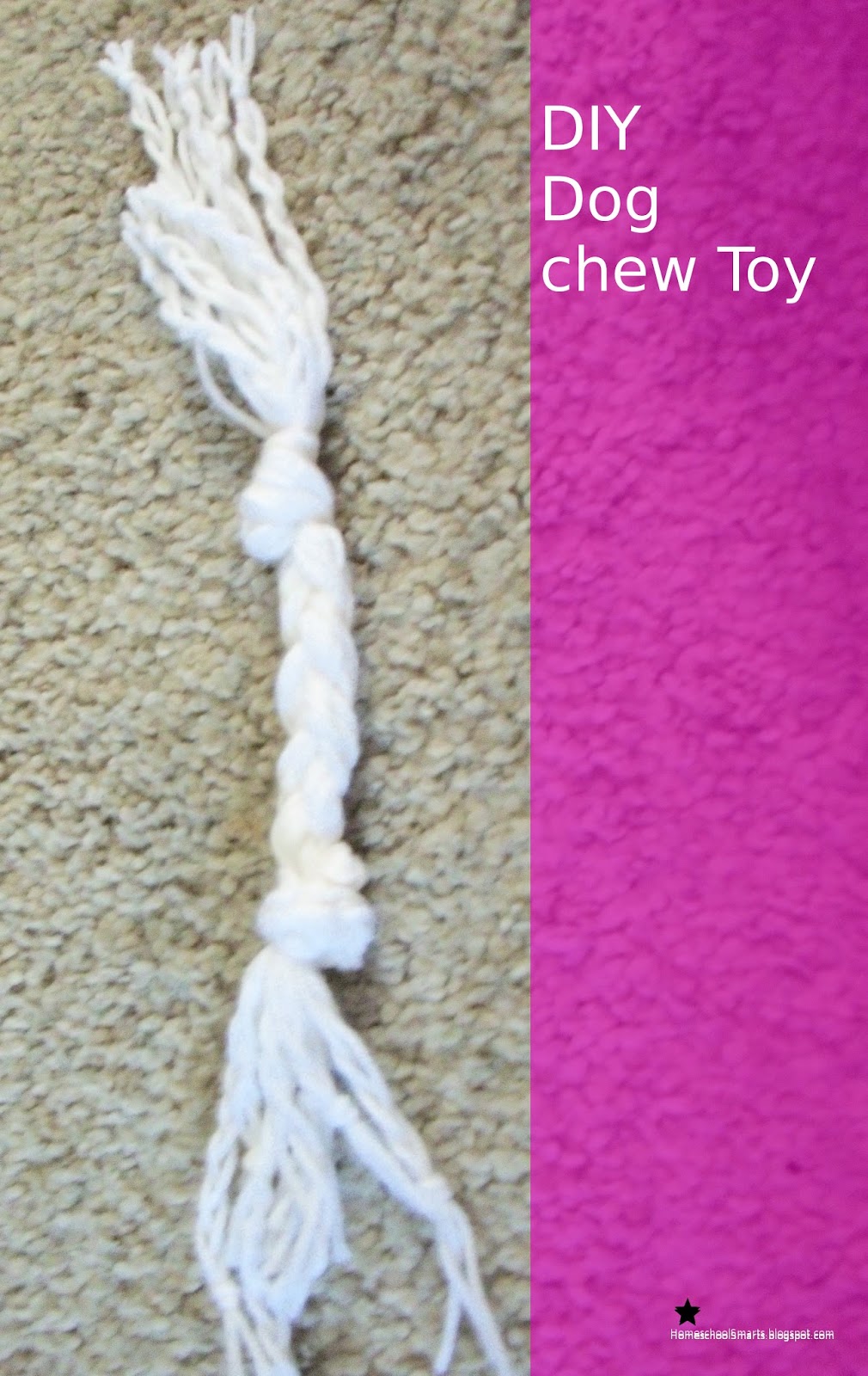 Homeschool Smarts DIY Dog Chew toy