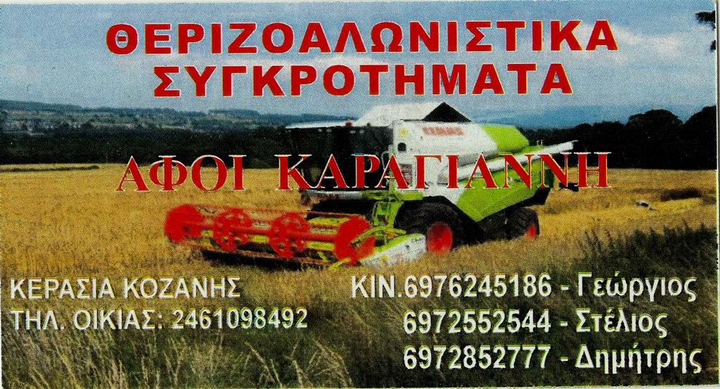 ΘΕΡΙΖΟΑΛΩΝΙΣΤΙΚΑ