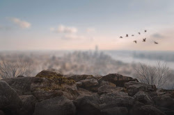 blur background pexels graphic amazing