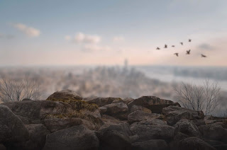 Blur Background Image Free Stock photos Pexels background image, pexels free stock background, stock image, free images, blur background, pexels, royalty free images, stock background