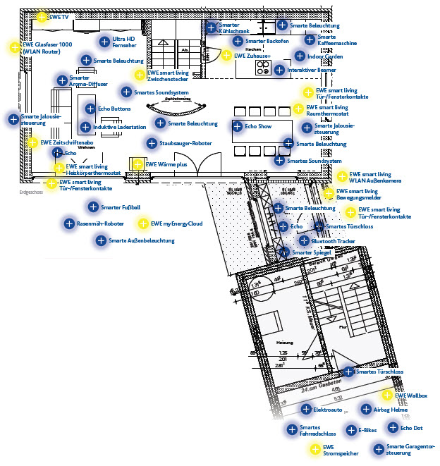 Cats From Oldenburg Germany Traveling Cats Travel Pictures Of