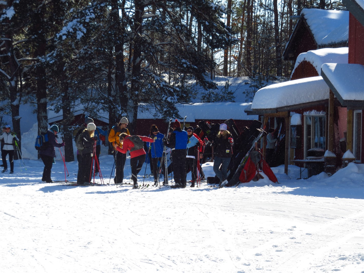The World of Gord Snowshoeing at Hardwood Hills